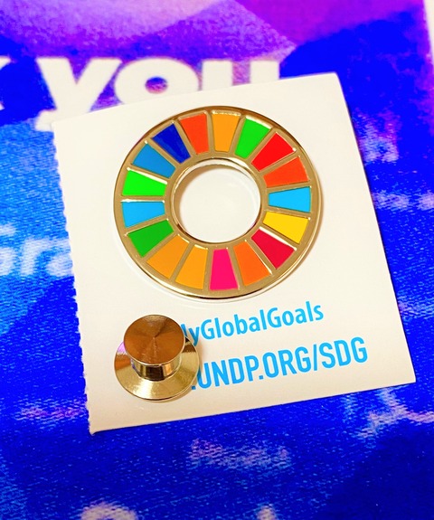 【商品紹介】国連UNDP (公式品) SDGs ピンバッジ 「平研型」 : edoya