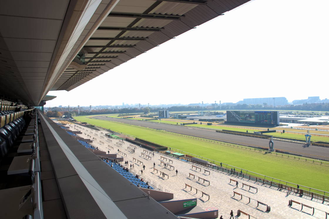 久しぶりの東京競馬場へは「写真撮影」に。 : BAD BOYの「目指せGOOD