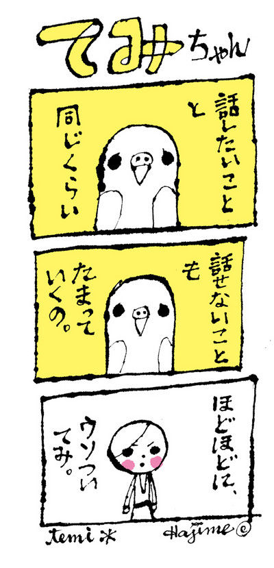 K10122017usottemi