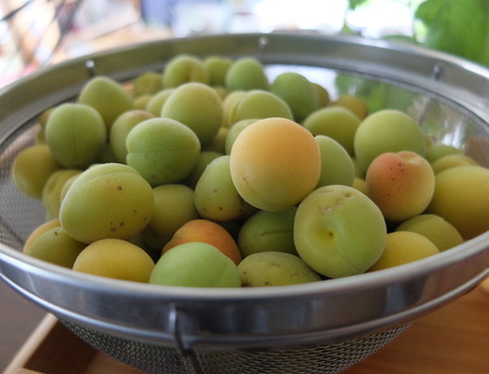 k-6-18-2022-oumesang