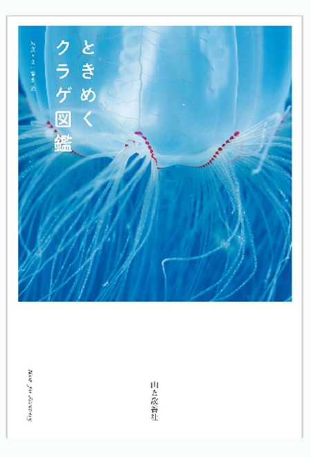 k-8-29-2018-kuragezukang