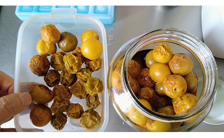 k-8-23-2020-umesiroppu1