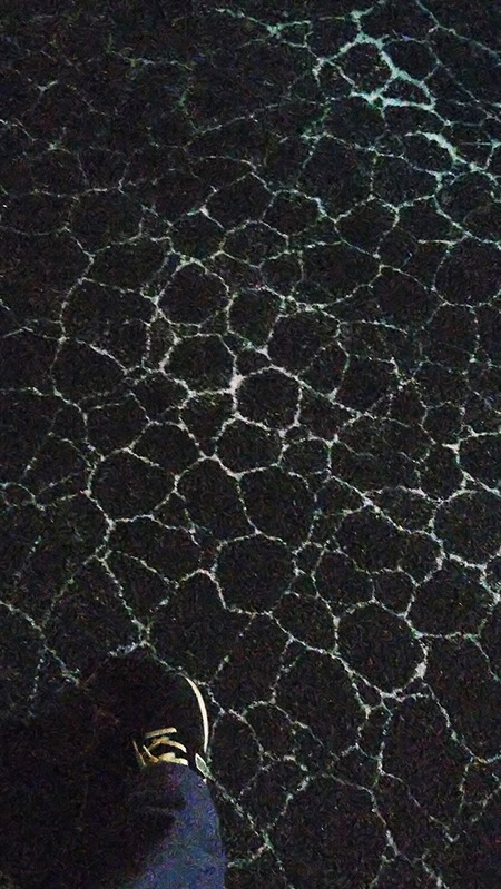 k-1-31-2026-wanimoyoo