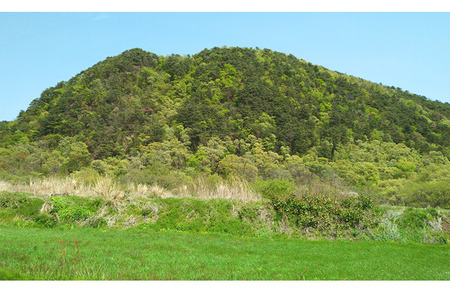 k-4-28-2023-sinryoku