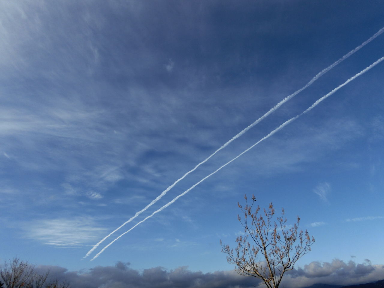 二本の飛行機雲 今日もここからサバーイ サバーイ In 高知