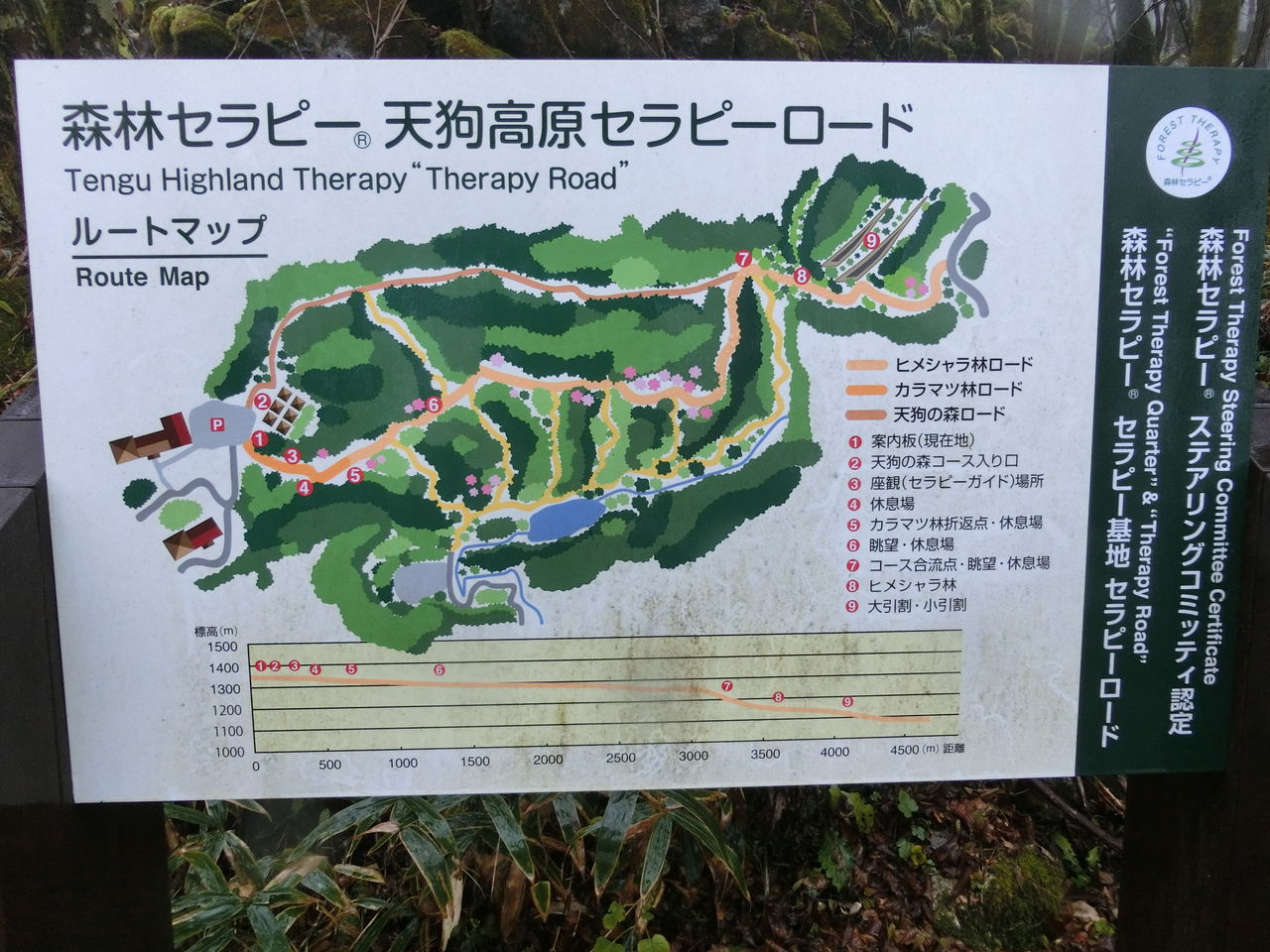 天狗高原セラピーロード 高知旅 天狗高原編 その4 今日もここからサバーイ サバーイ In 高知 天狗高原セラピーロード 高知旅 天狗高原編 その4 今日もここからサバーイ サバーイ In 高知