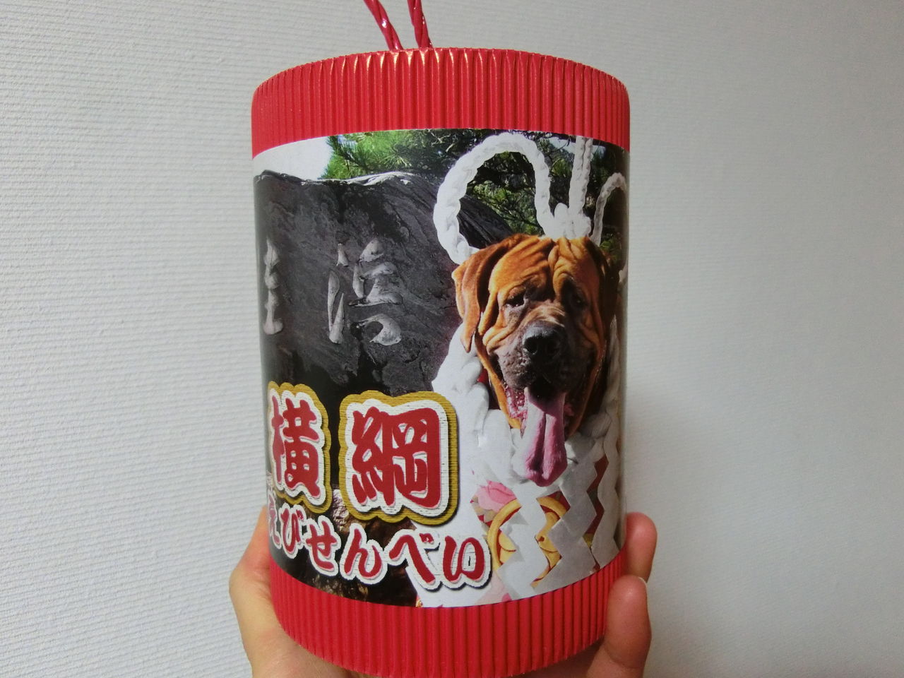 とさいぬパーク 横綱えびせんべい 今日もここからサバーイ サバーイ In 高知