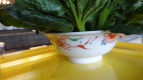 DSC09640