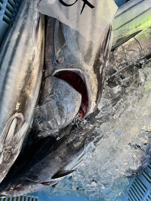 F38B5901-EC88-43F4-8641-9DCE51219377