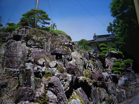 DSC00630