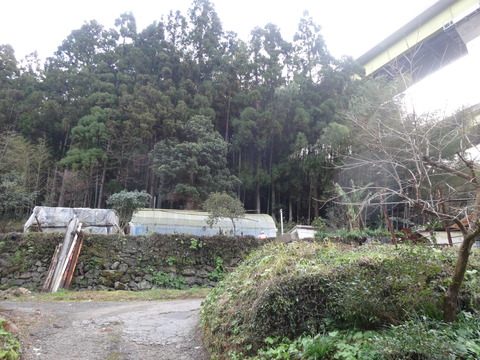 DSC01638