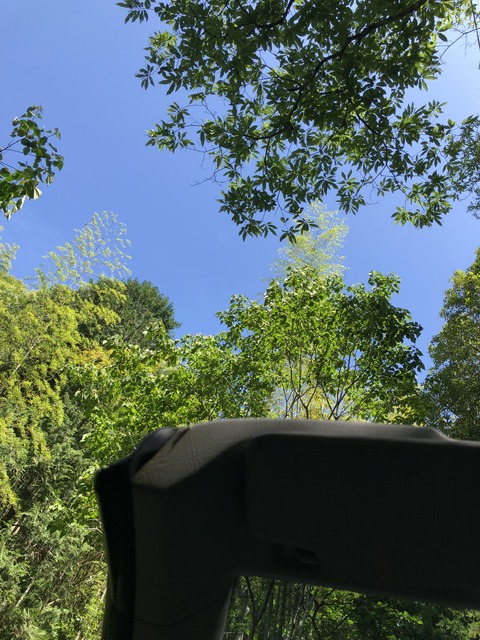 9192F039-79FB-49EA-8069-D1AE5AA45F73