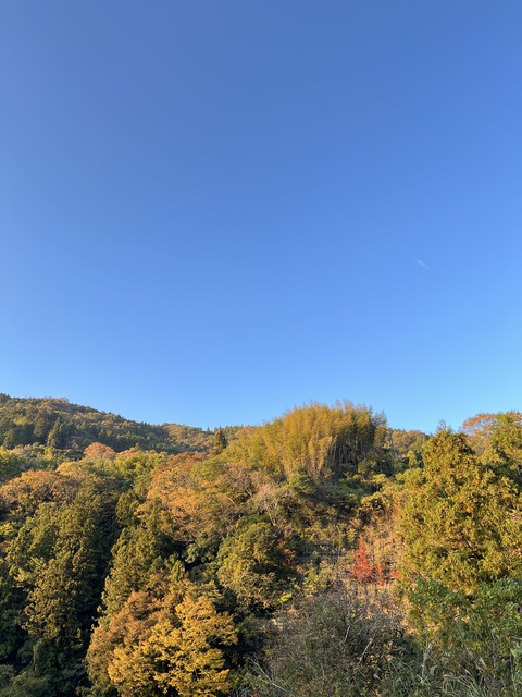 705A1BF8-D1A5-42F3-87A0-1AE02D6C94D5