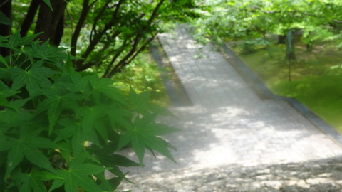 DSC07908