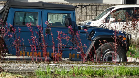 DSC09692