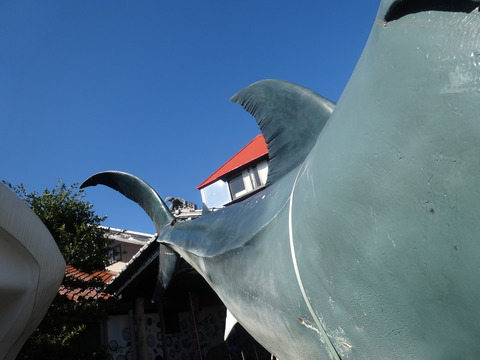 DSC06036