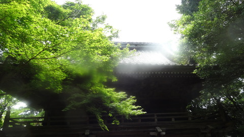 DSC07914