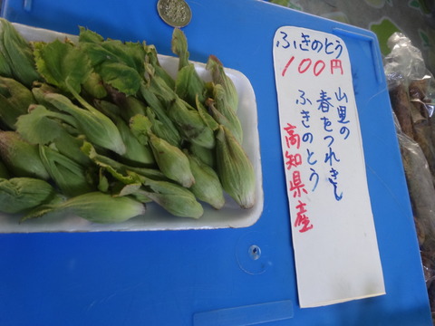 DSC02303