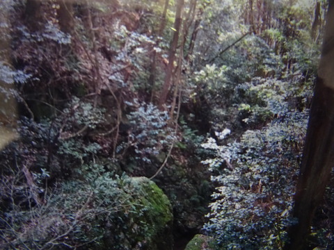 DSC01584