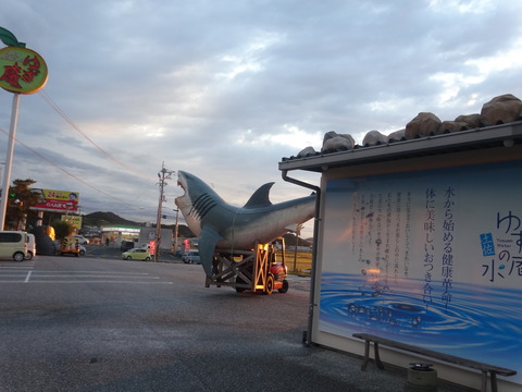 DSC06005