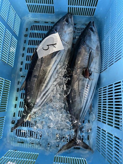 BA48E36F-992E-41E1-8B1E-A1C1B2DD6B8A