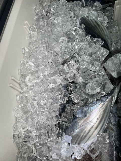 73D625F7-BA41-4670-B4DE-E6A7F3513A8B