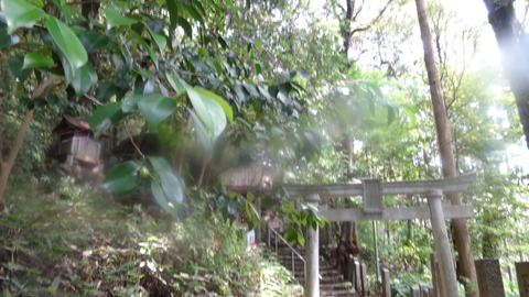 DSC07906