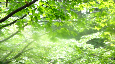DSC07909