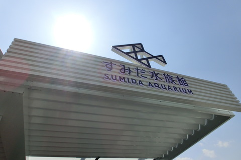 CIMG0535