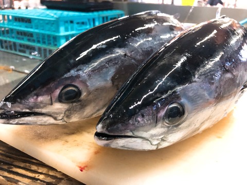 A8EC2CBA-3CBC-4047-B54D-73850DA960F6