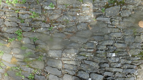 DSC07915