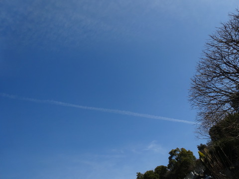 DSC01601