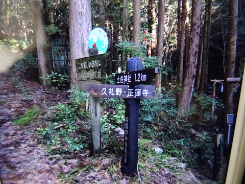 DSC01577