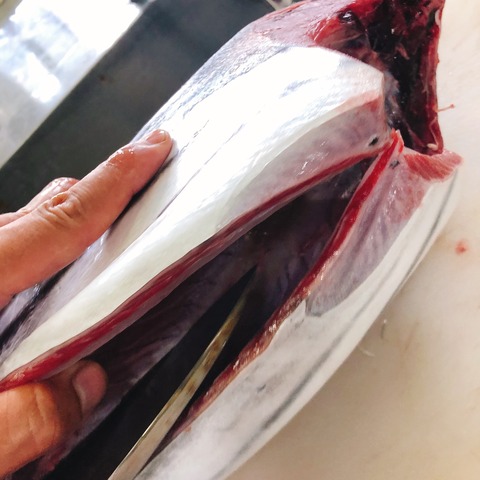 26B2D052-E115-4B7D-95ED-40EA6EDA13BB