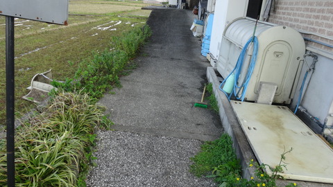 DSC09667