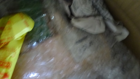 DSC03683