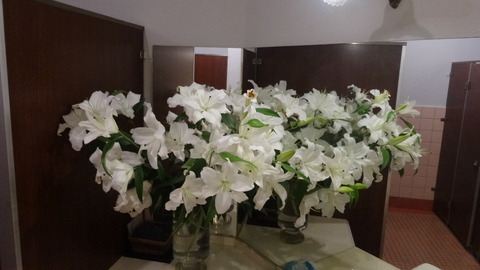 DSC09709