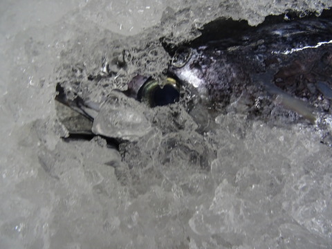 DSC08550