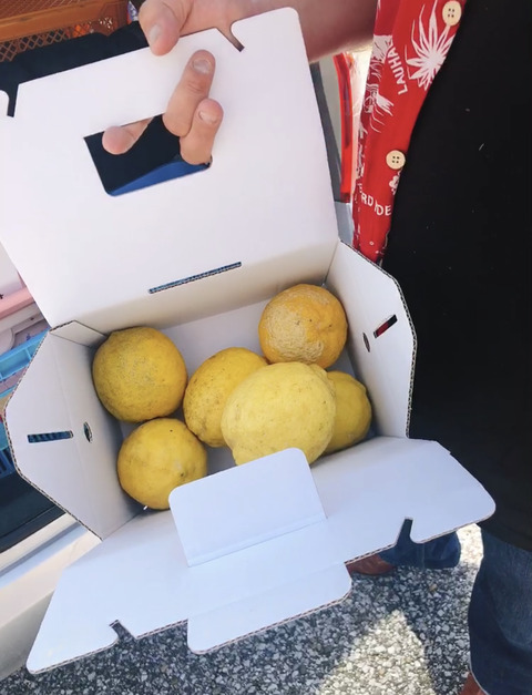 141EB192-D884-45DE-A497-E347FA5AFD5C