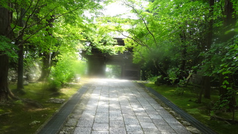 DSC07913