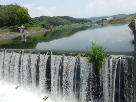DSC04334