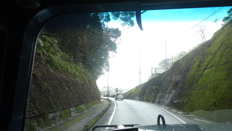DSC09904