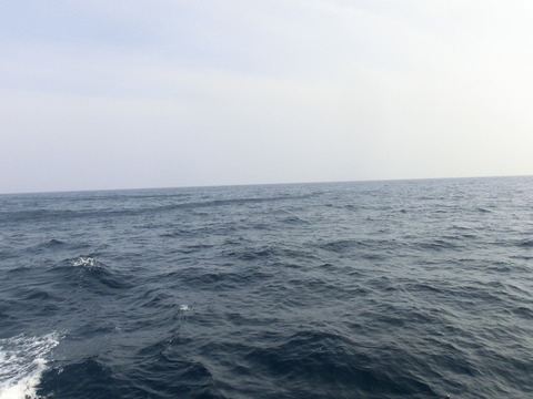 CIMG5391