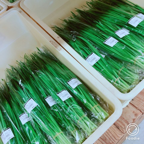 E9616881-0D9A-4C94-980E-BC3F8429C69F