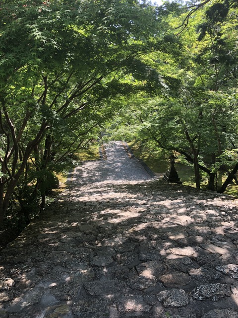 E8D7F4A7-92AB-4F94-BF93-A31958D87F6D