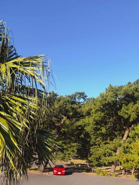 752217B0-9E5D-418A-A234-4310521DF948