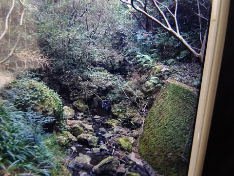 DSC01581