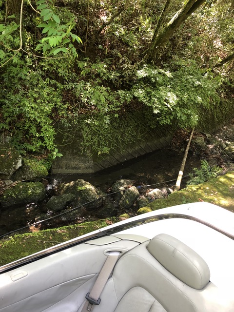 26B2DDCF-6B5D-4D83-8655-941D75973F2A