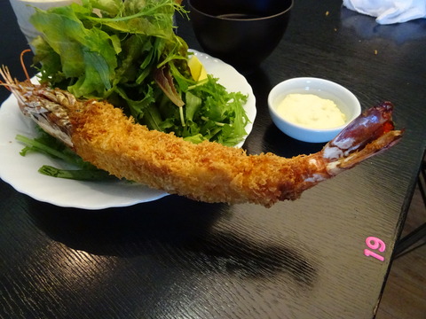 DSC00146