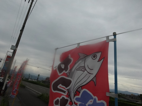 DSC07847
